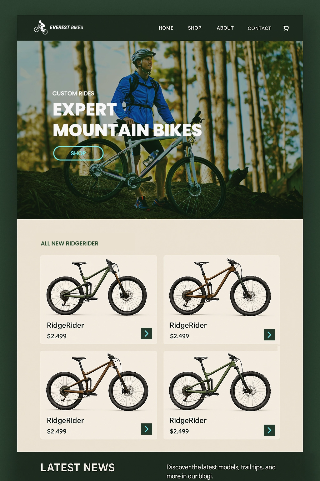 eCommerce website mountain bike store